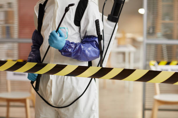 Professional Hoarding Cleanup technician working in Weaverville, NC